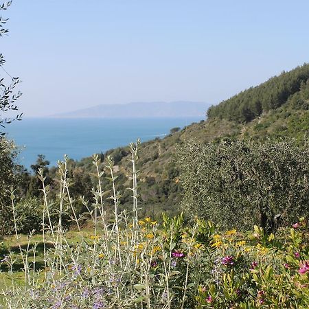 La Casa Nella Macchia Villa Monte Argentario Phòng bức ảnh