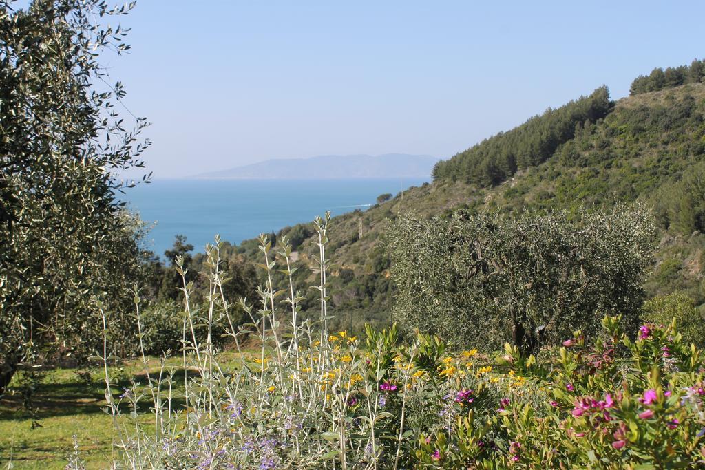 La Casa Nella Macchia Villa Monte Argentario Phòng bức ảnh